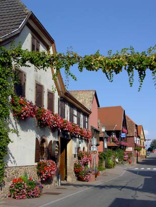 Itterswiller florally decorated village - click to close