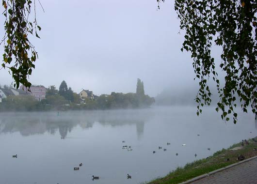 Morning mist over the Mosel - click to close