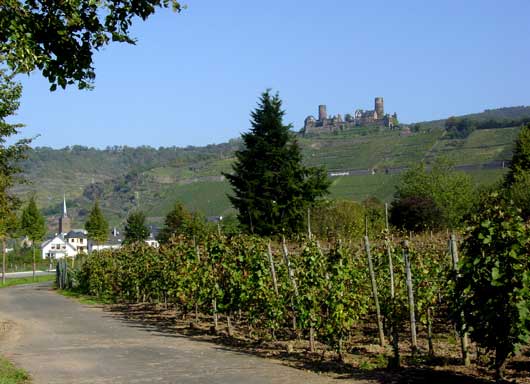 Vines and Schloss at Alken - click to close